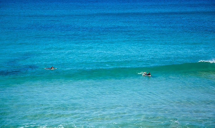 surfing in fuerteventura